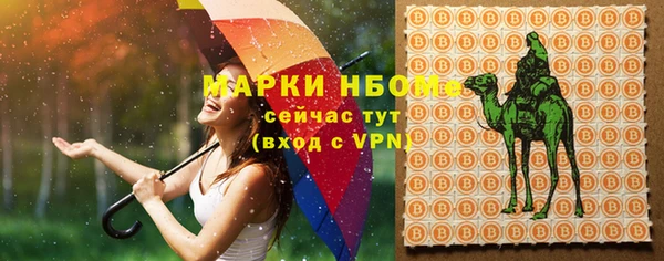 дмт Арсеньев
