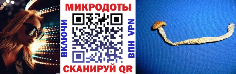 наркотики  OMG зеркало  Псилоцибиновые грибы мицелий  Советский 